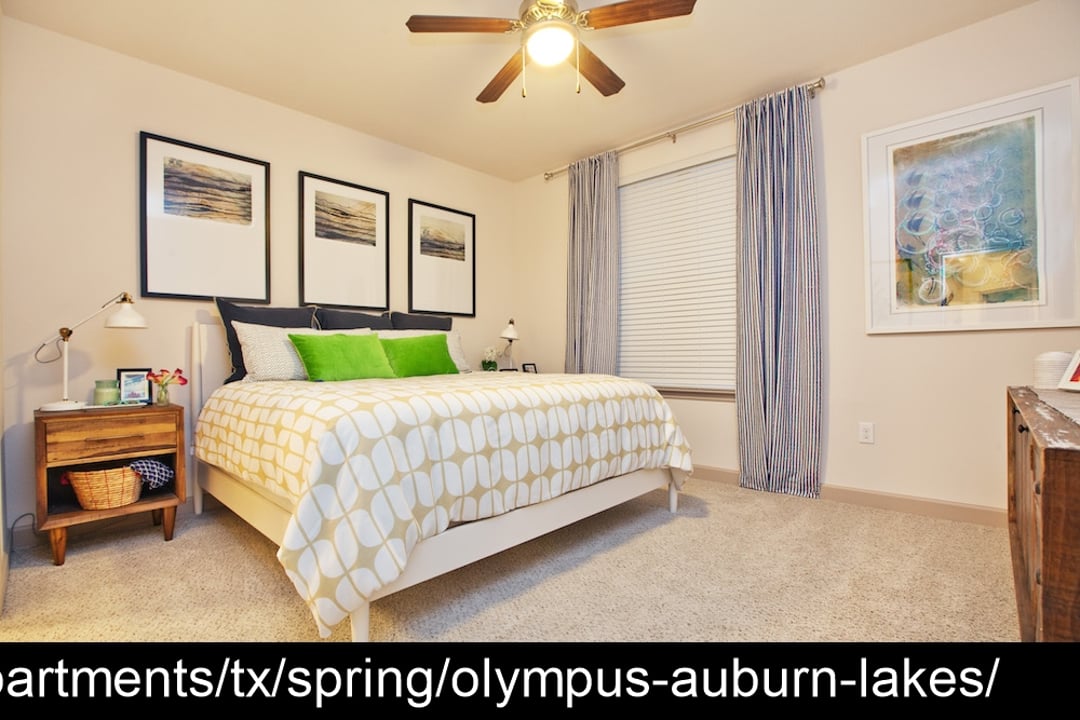 Olympus Auburn Lakes - 19