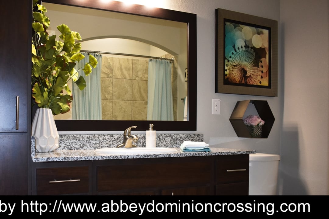 The Abbey at Dominion Crossing - 9