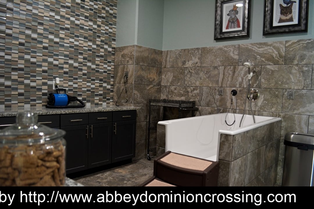 The Abbey at Dominion Crossing - 17