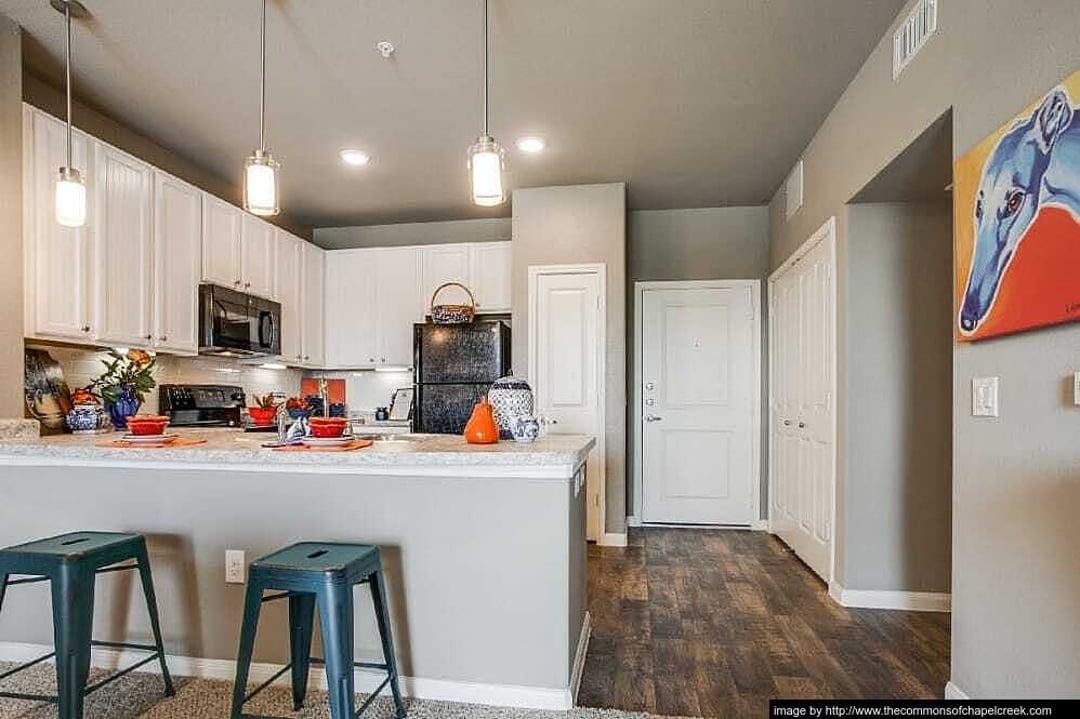Commons of Chapel Creek - 1