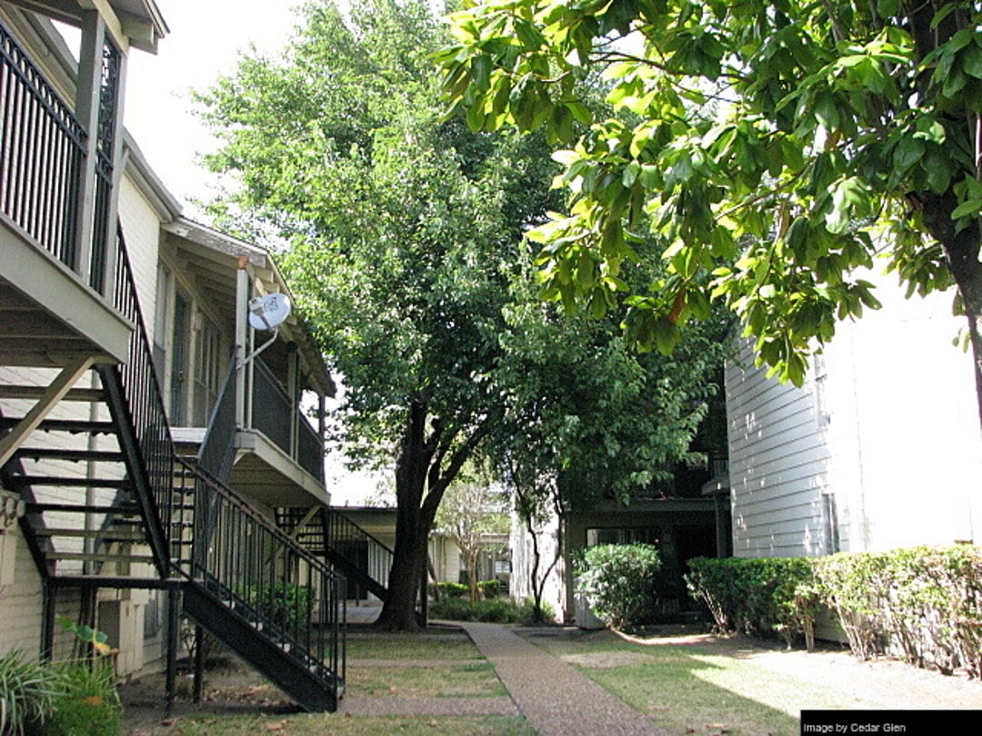 Cedar Glen - 10