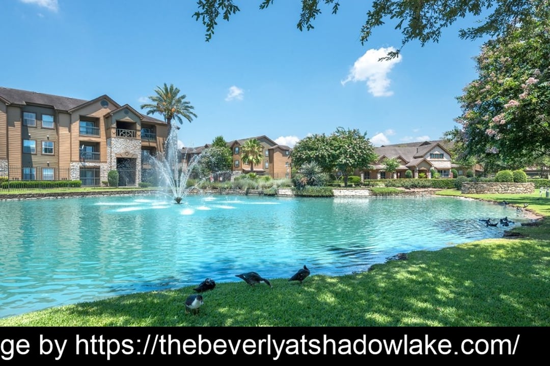 The Beverly at Shadow Lake - 10