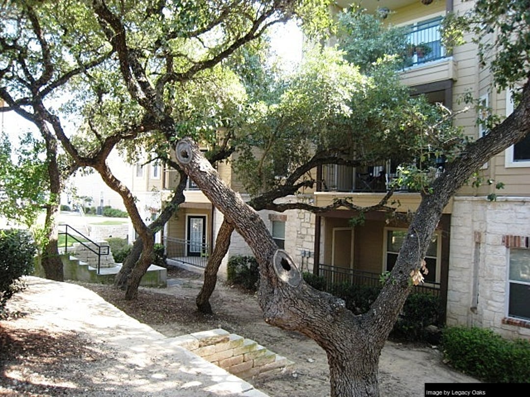 Legacy Oaks - 17