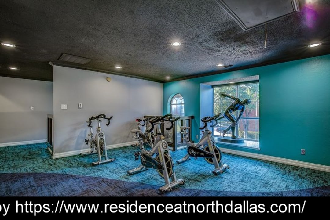 The Residence at North Dallas - 20