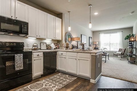 Commons of Chapel Creek - 4
