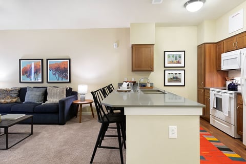 Affinity at Southpark Meadows - 2