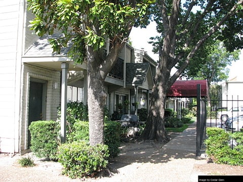 Cedar Glen - 8