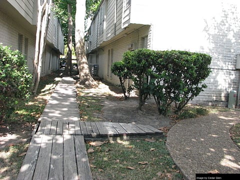 Cedar Glen - 9