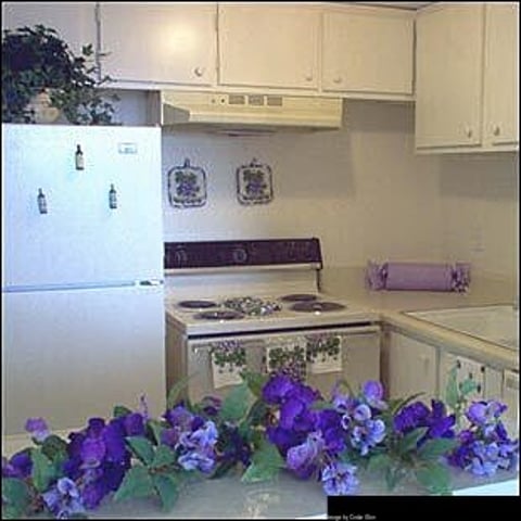 Cedar Glen - 13