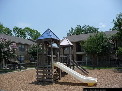Cedar Wood - 8