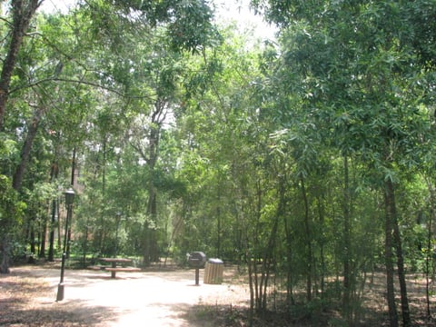 The Park at Armand Bayou - 27