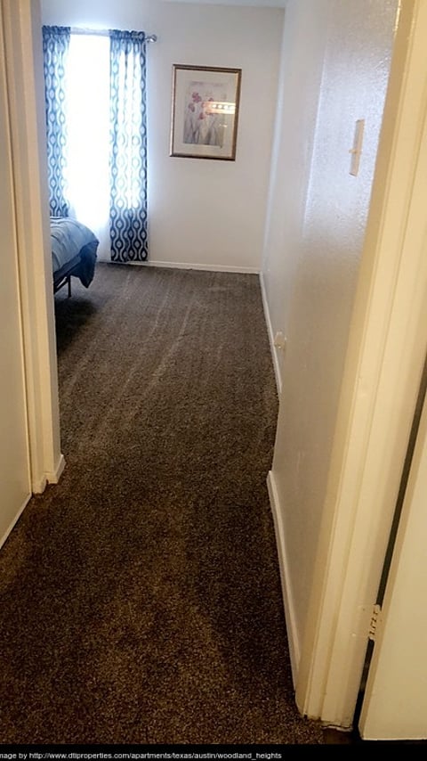 Woodland Heights - 11