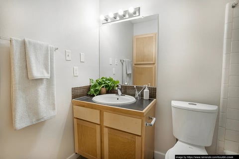 Bouldin Creek - 6