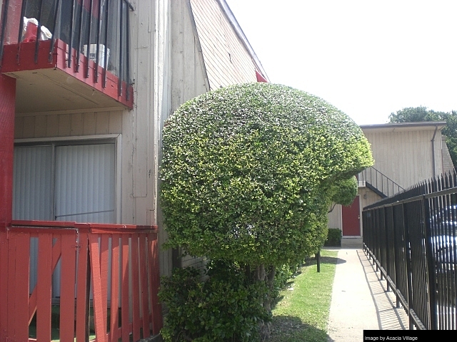 Acacia Village - 12