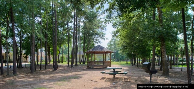 Park at Woodland Springs - 10