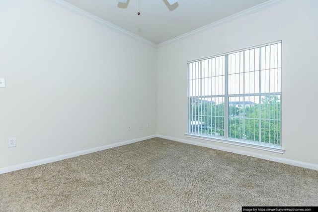 Bayview - 2